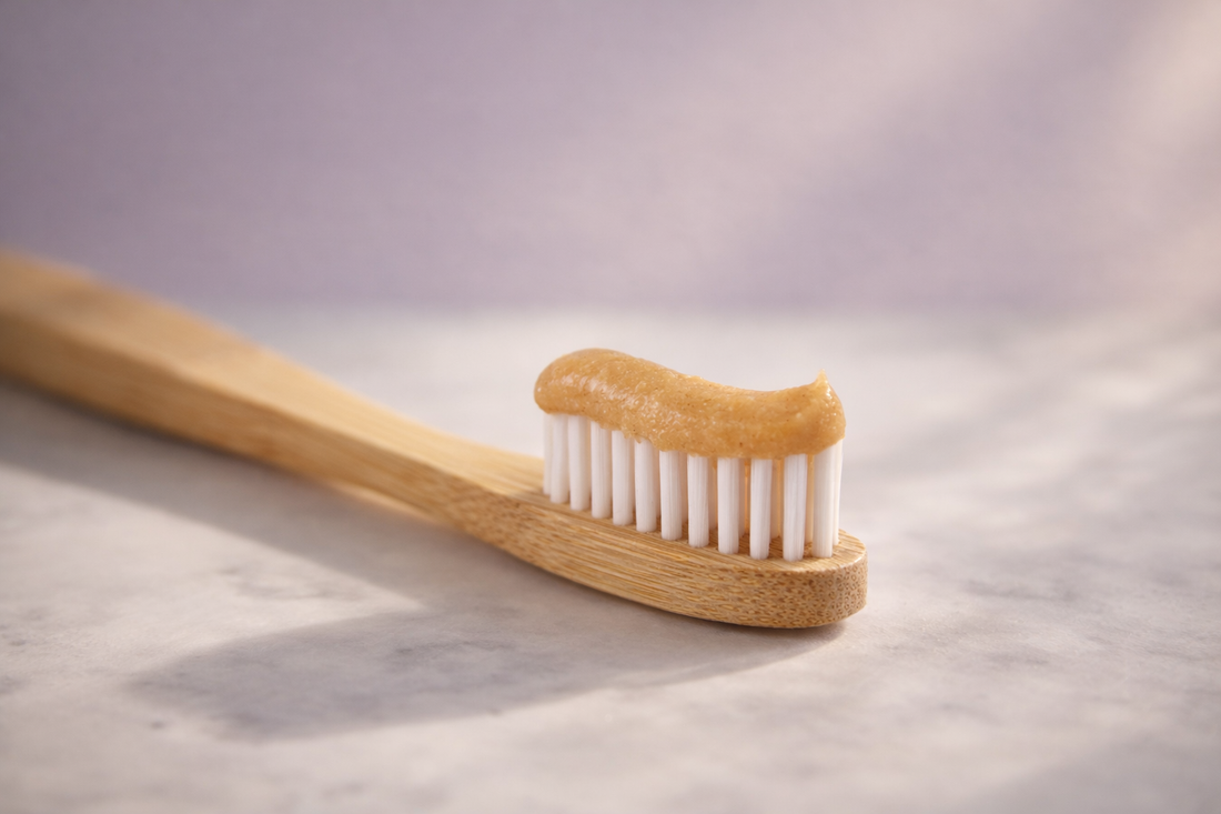 Does Enzymatic Toothpaste for Dogs Work? What It Actually Does to Plaque