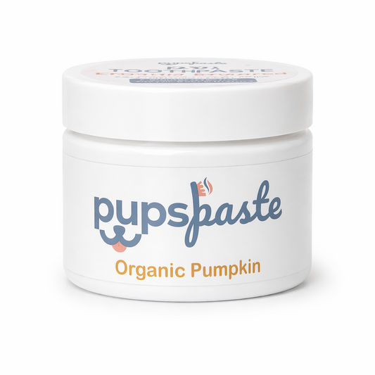 Why Pumpkin Dog Toothpaste Surprised Me