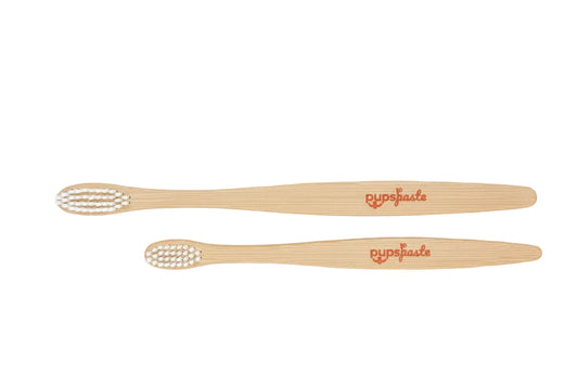 Two bamboo dog toothbrushes on a white background for daily brushing