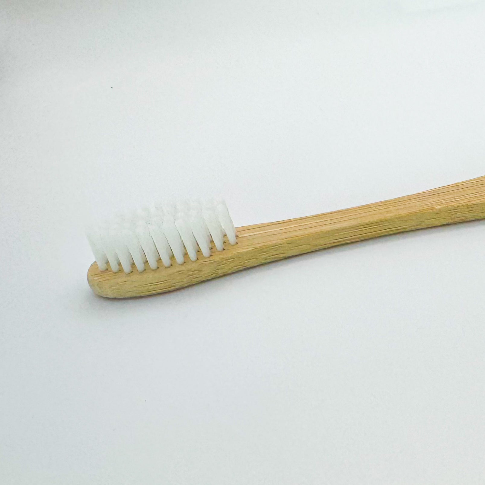 Medium large dog toothbrush bristles close-up