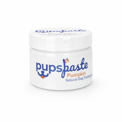 Pumpkin dog toothpaste jar