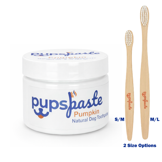 Pumpkin dog toothpaste starter bundle with 2 toothbrushes