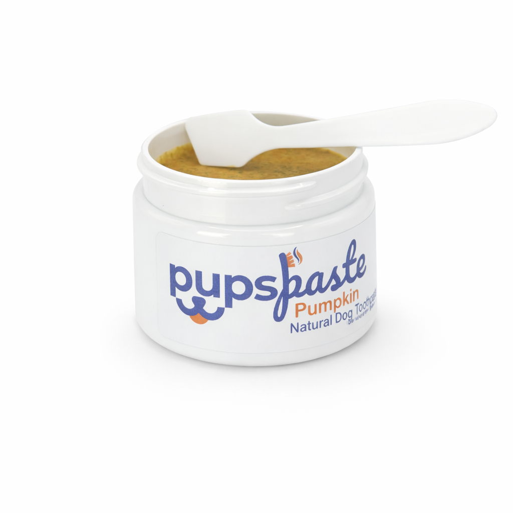 Pumpkin dog toothpaste jar with toothbrush applicator