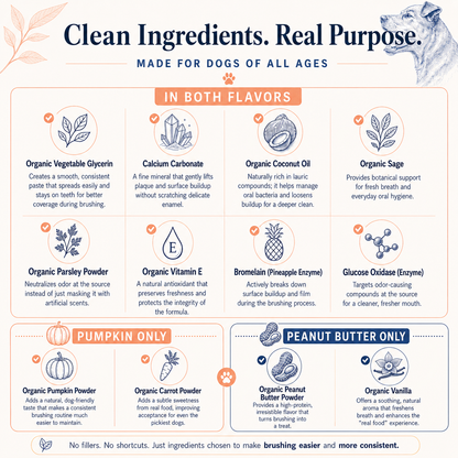PupsPaste dog toothpaste clean ingredients infographic showing ingredients used in both pumpkin and peanut butter flavors.