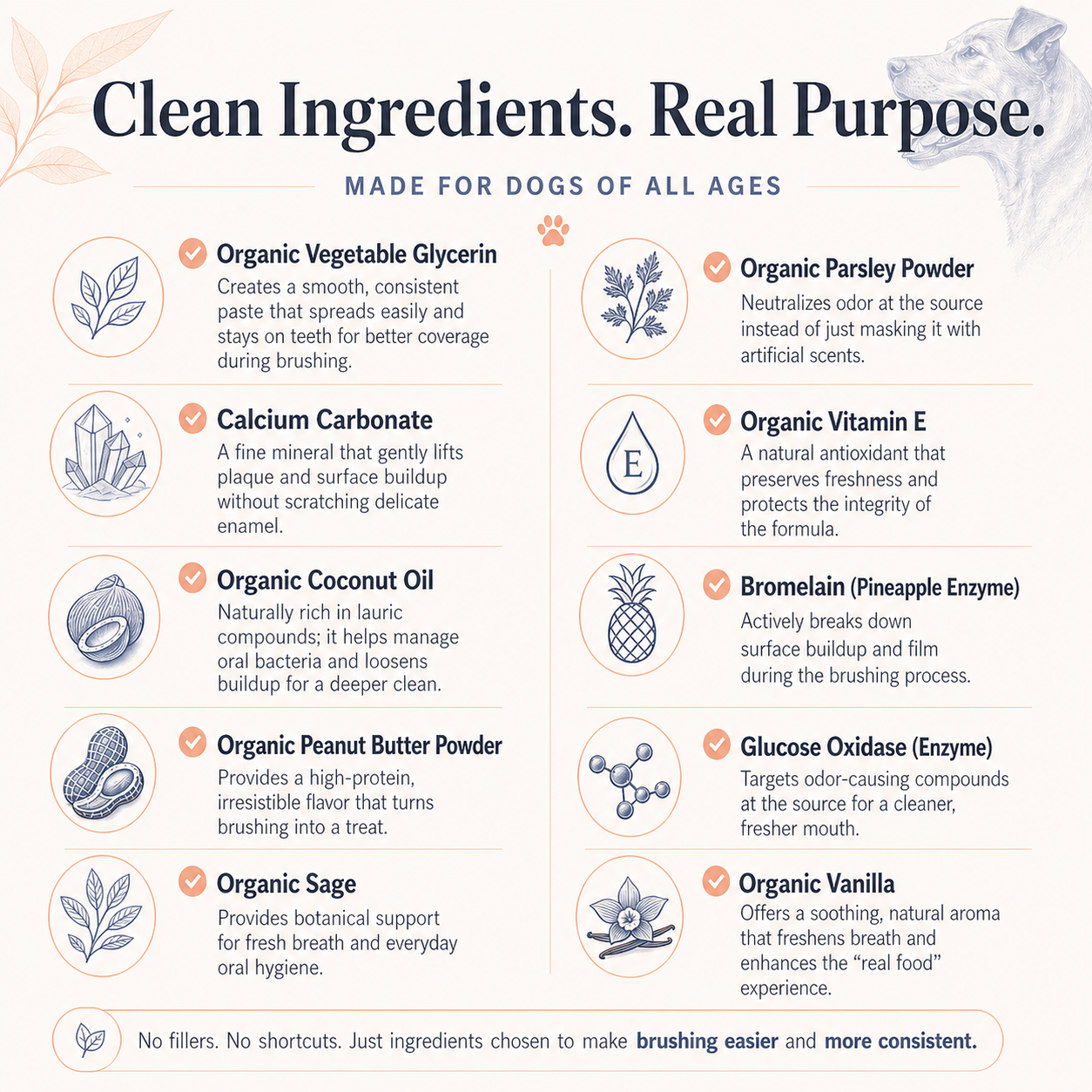 PupsPaste clean ingredients infographic for enzymatic organic dog toothpaste with coconut oil, parsley, calcium carbonate, peanut butter powder, sage, vitamin E, bromelain, glucose oxidase, and vanilla.