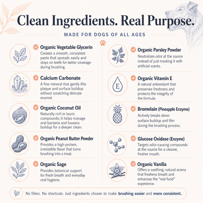 PupsPaste clean ingredients infographic for enzymatic organic dog toothpaste with coconut oil, parsley, calcium carbonate, peanut butter powder, sage, vitamin E, bromelain, glucose oxidase, and vanilla.