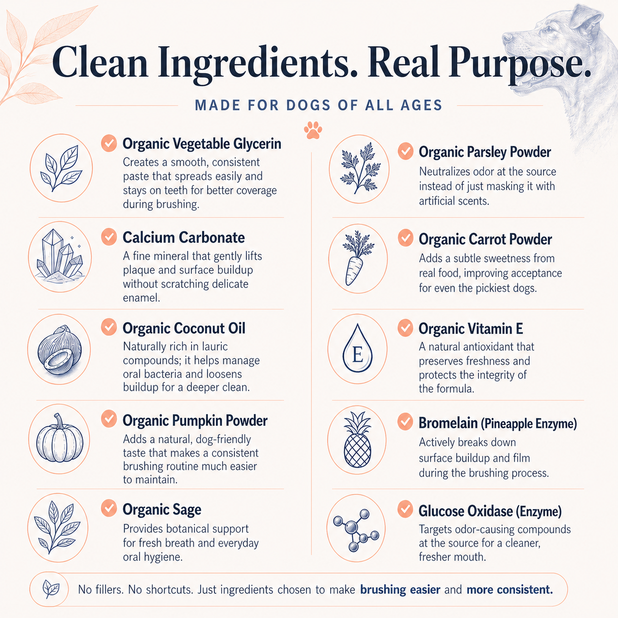 PupsPaste clean ingredients infographic for enzymatic organic pumpkin dog toothpaste with coconut oil, parsley, calcium carbonate, pumpkin powder, carrot powder, sage, vitamin E, bromelain, and glucose oxidase.