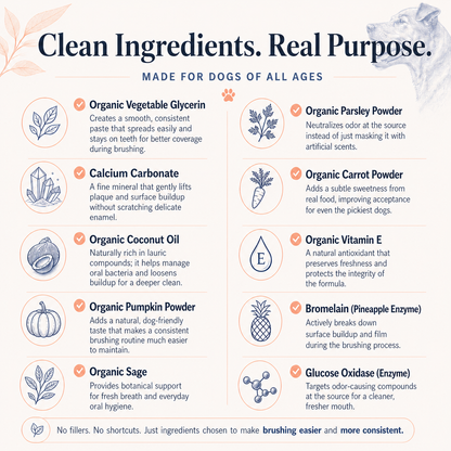 PupsPaste clean ingredients infographic for enzymatic organic pumpkin dog toothpaste with coconut oil, parsley, calcium carbonate, pumpkin powder, carrot powder, sage, vitamin E, bromelain, and glucose oxidase.